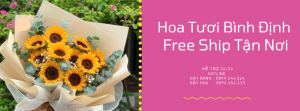 Tiệm Hoa Tươi Tại Bình Định – Hoa Đẹp FreeShip